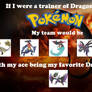 Dragon Type Team