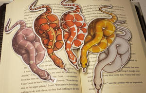 New Corn Snake Bookmarks