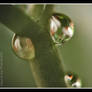 Water Drop .4