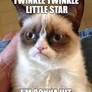 Grumpy Cat