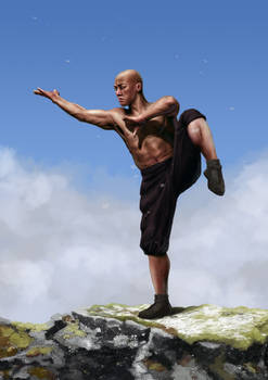 Shaolin monk gradient study with color application