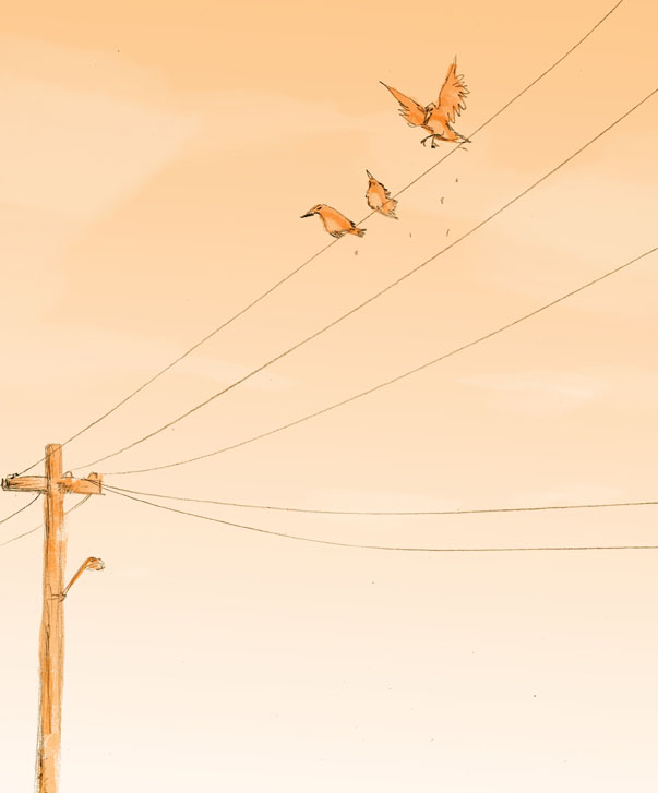 Birds on a Wire