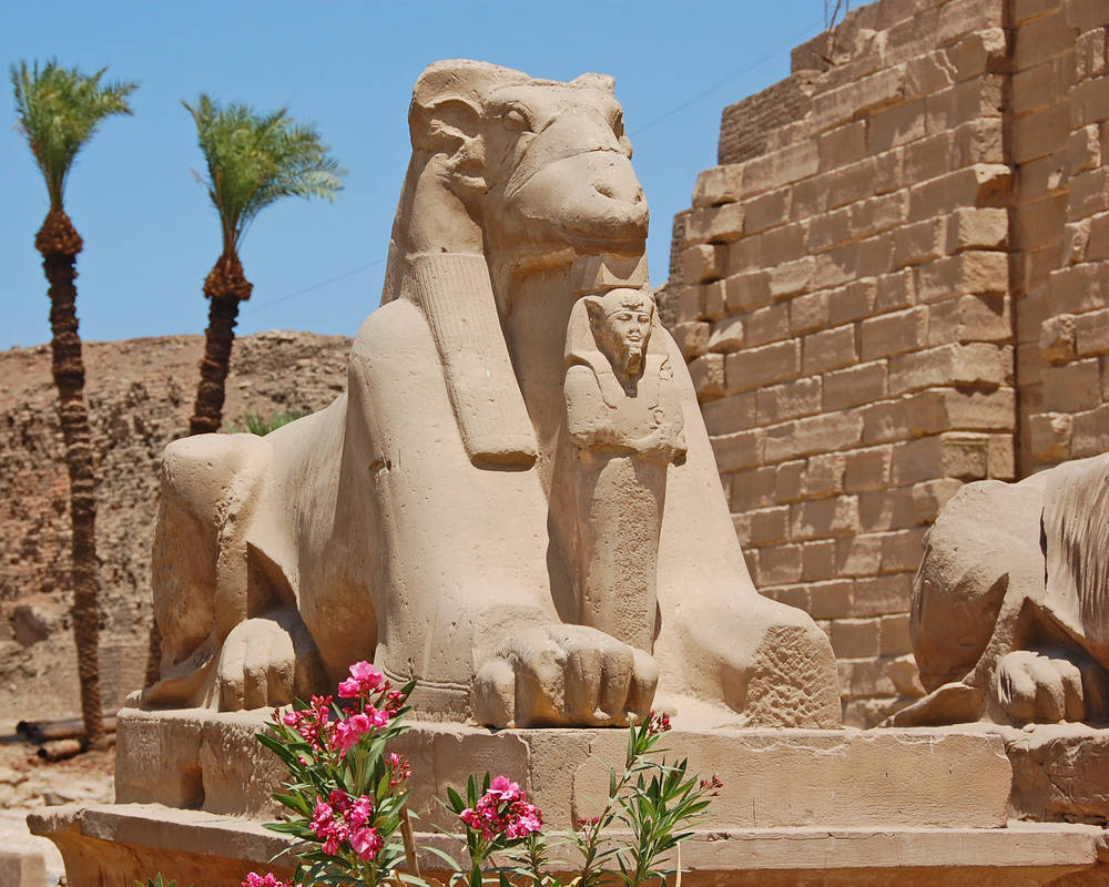 Mini Sphinx I by braindrainphotos on DeviantArt