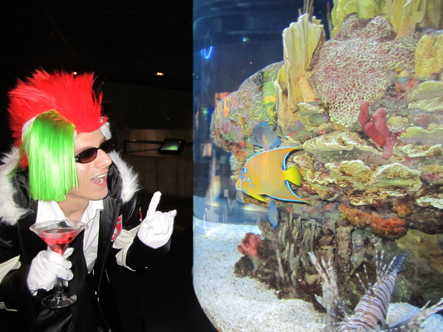 Lussuria Visits the Aquarium