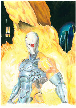 Grey Fox