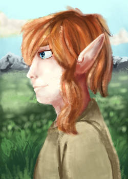 Link Portrait