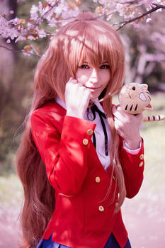 ToraDora