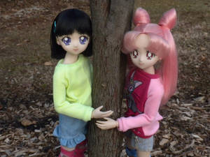 Sailor Saturn and Chibi Moon dolls