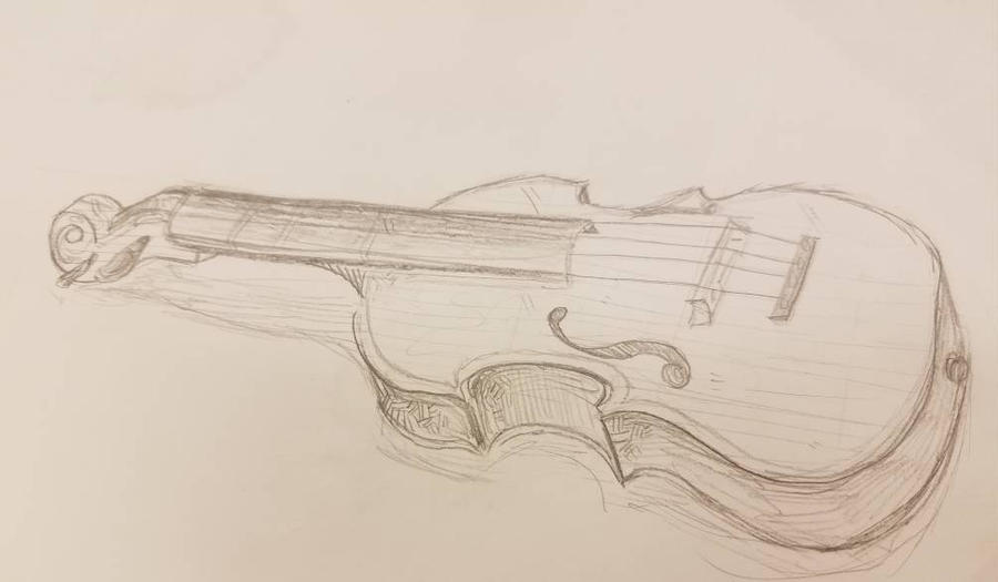 Viola sketch
