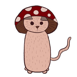 Mushroom cat