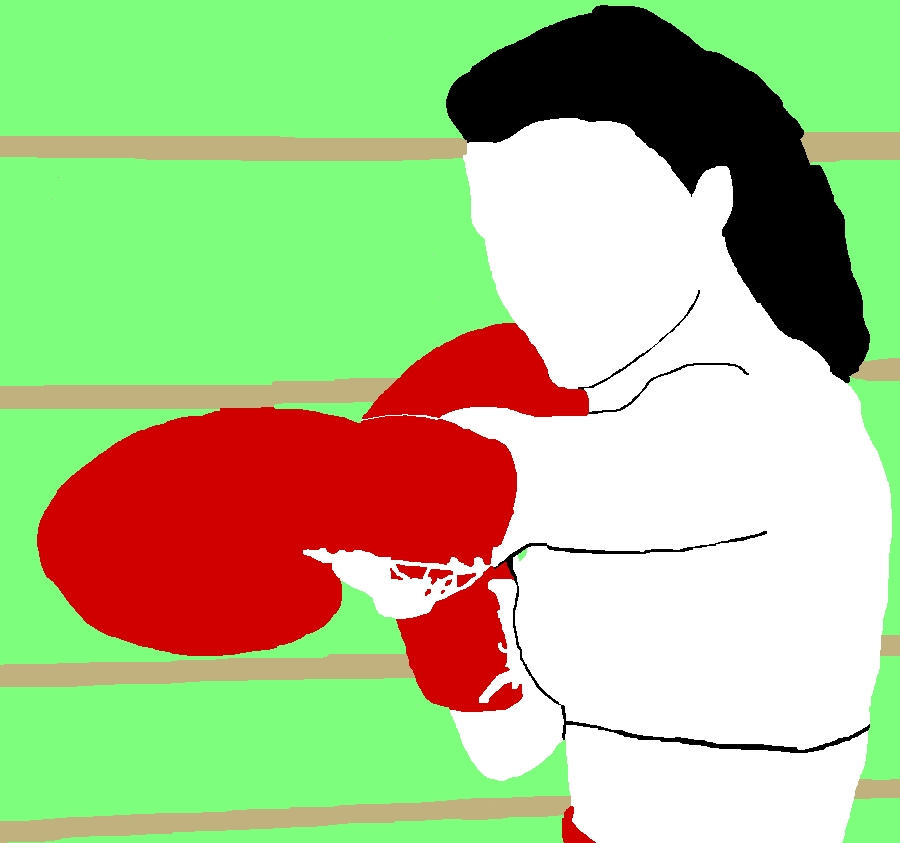 Shawna Foxy Boxing Debut by crwatcherausa on DeviantArt