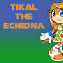 Tikal the Echidna Art