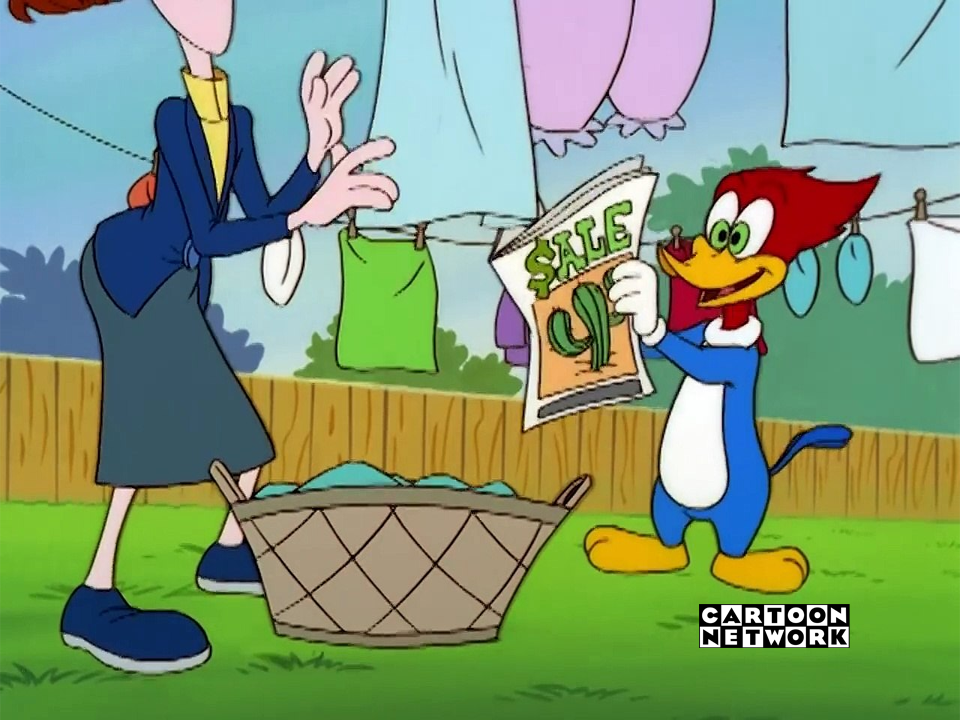 The New Woody Woodpecker Show on Cartoon Network by ArtChanXV on DeviantArt