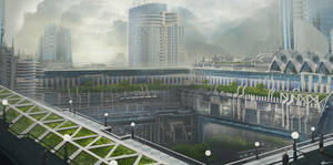 Ecological city