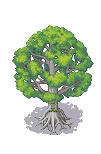 Deku Tree By MistressAmalin On DeviantArt