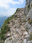 The Path to the Top by aussiepoida
