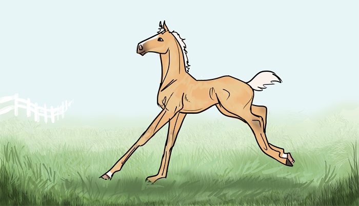 Golden filly