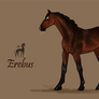 Erebus