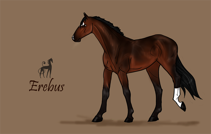 Erebus