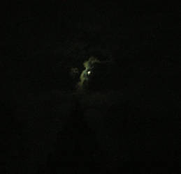 March 5: Night