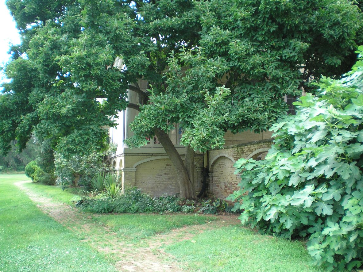 SHWC2006: Mansion Rear Area