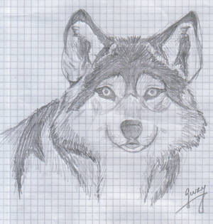 Wolf1