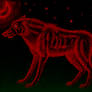 Red wolf