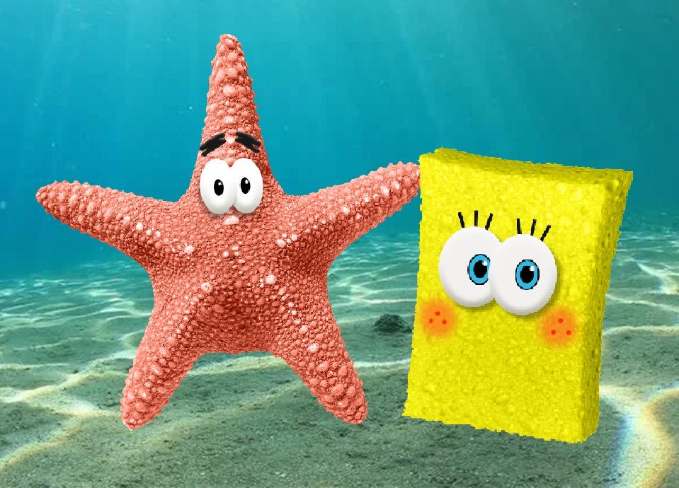 Spongebox Irl SpongeBob And Patrick IRL by TBroussard on DeviantArt