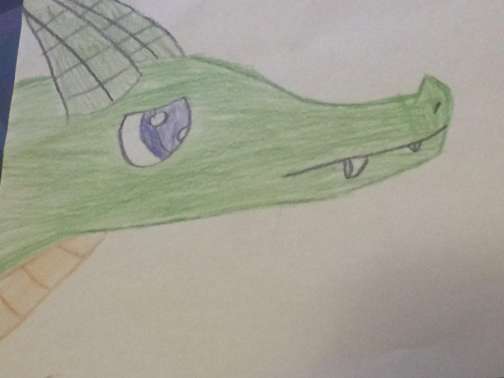 First Attempt Of Drawing A Dragon