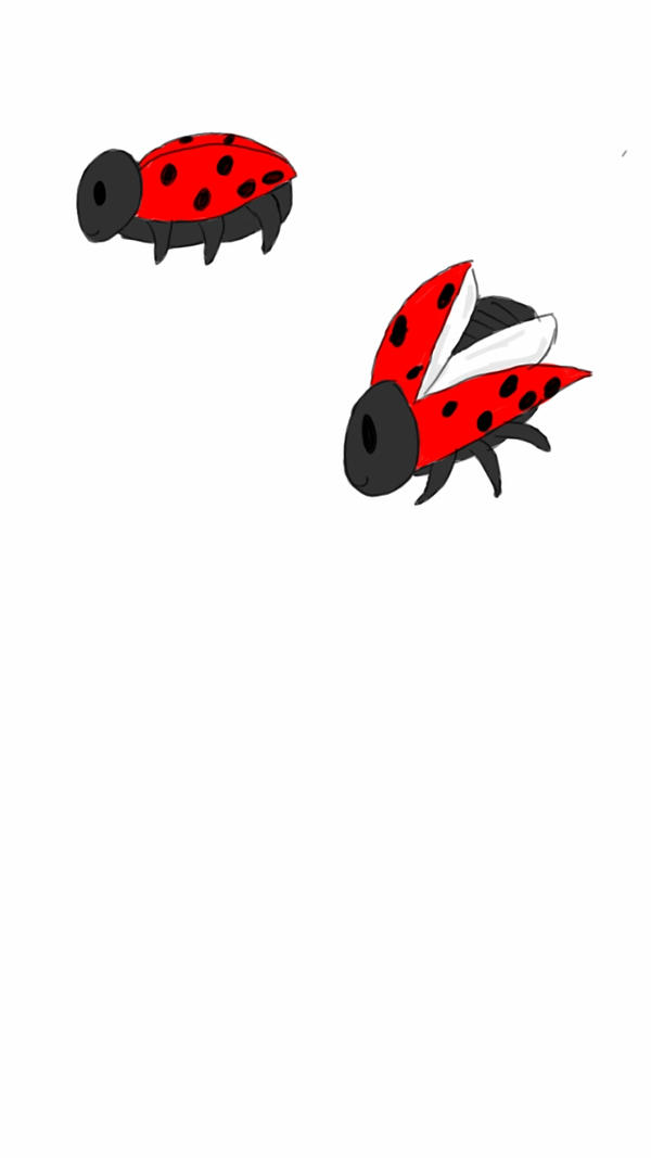 Fly Bug Deviantart FLYING INSECT by spiritkittens on DeviantArt
