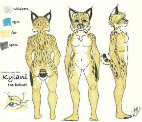 Kylani Character Sheet