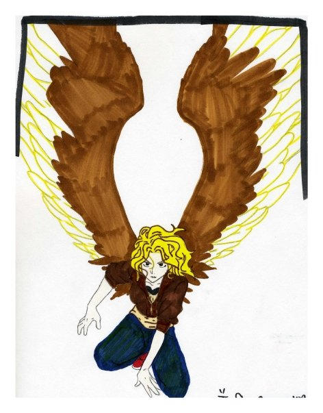 Maximum Ride by Succumbus on DeviantArt