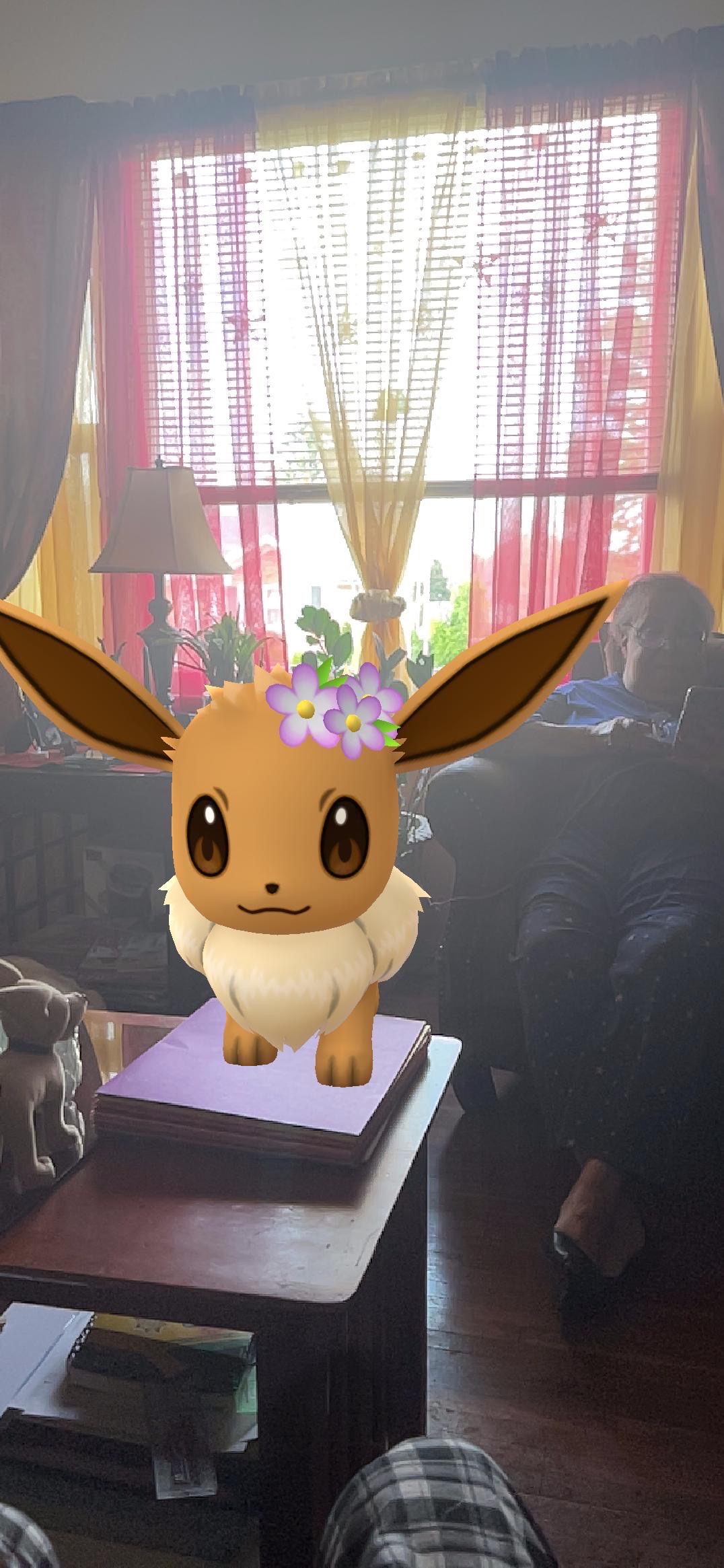 Eevee with flowers by wolfrenamon on DeviantArt