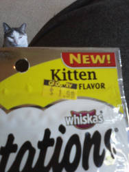 Kitten Flavor