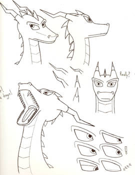 Dragon Head Concept Sketches