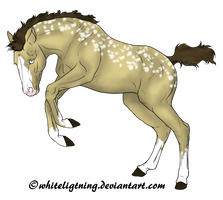 Foal Adoptable - 10 Points - OPEN