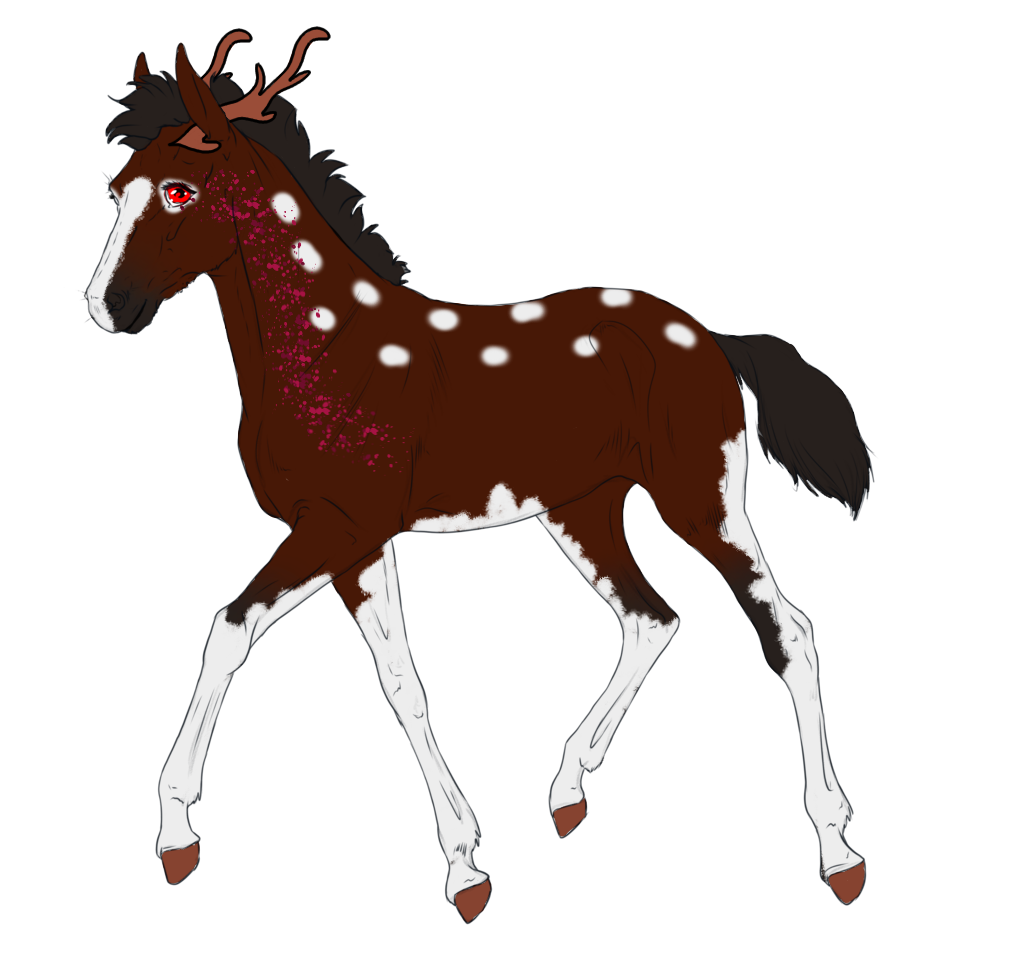 4905 Padro Foal Design for sandym918