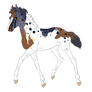 5788 Padro Foal Design for hinto-namid