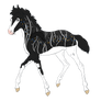 7635 Padro Foal Design