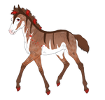 7101 Padro Foal Design by Mimi-McG
