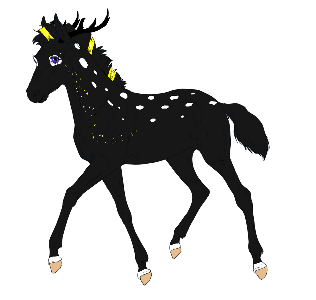 8177 Padro Foal Design for sandym918