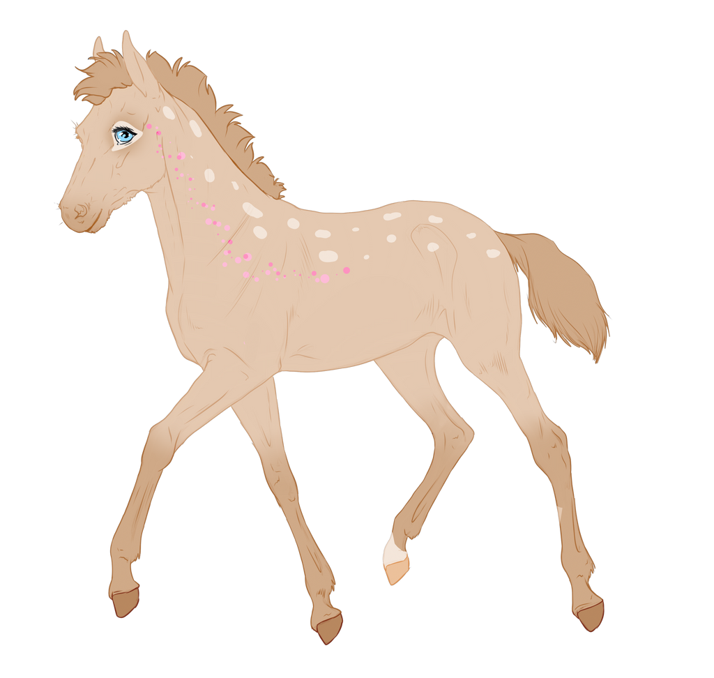 N497 Padro Foal Design for MistMasquerade