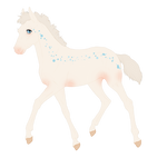 N498 Padro Foal Design for MistMasquerade