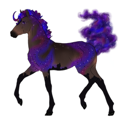 N9019 Padro Foal Design for Queen-Anarchy