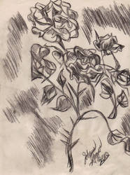 Flowers Study 2