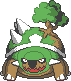 Torterra Practice