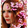 cherry blossoms and redheads