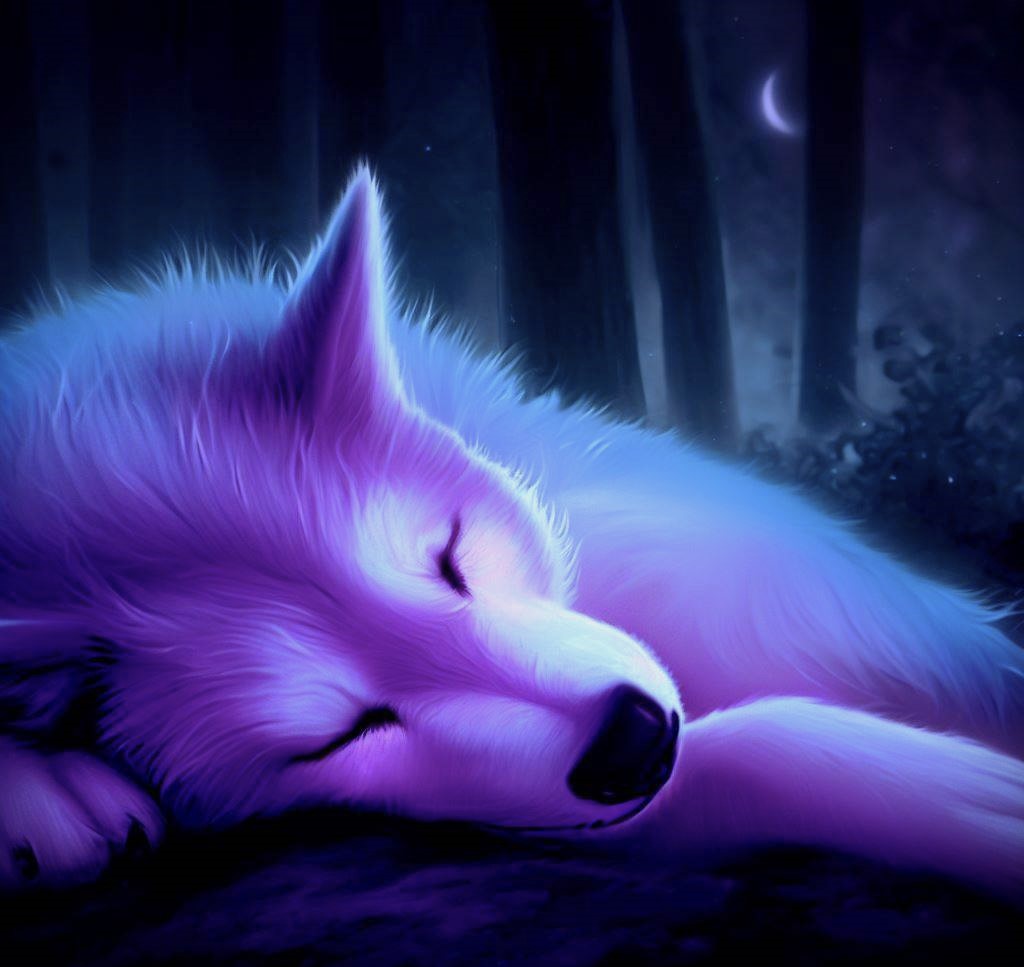 Sleeping Wolf by MonNoka on DeviantArt