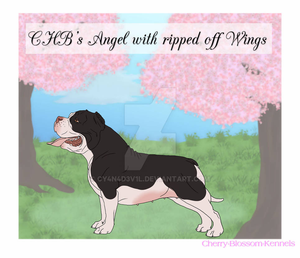 Angel Getting Ripped Out Wing Chb S Angel With Ripped Off Wings at FTRK by Karlimaxine on DeviantArt