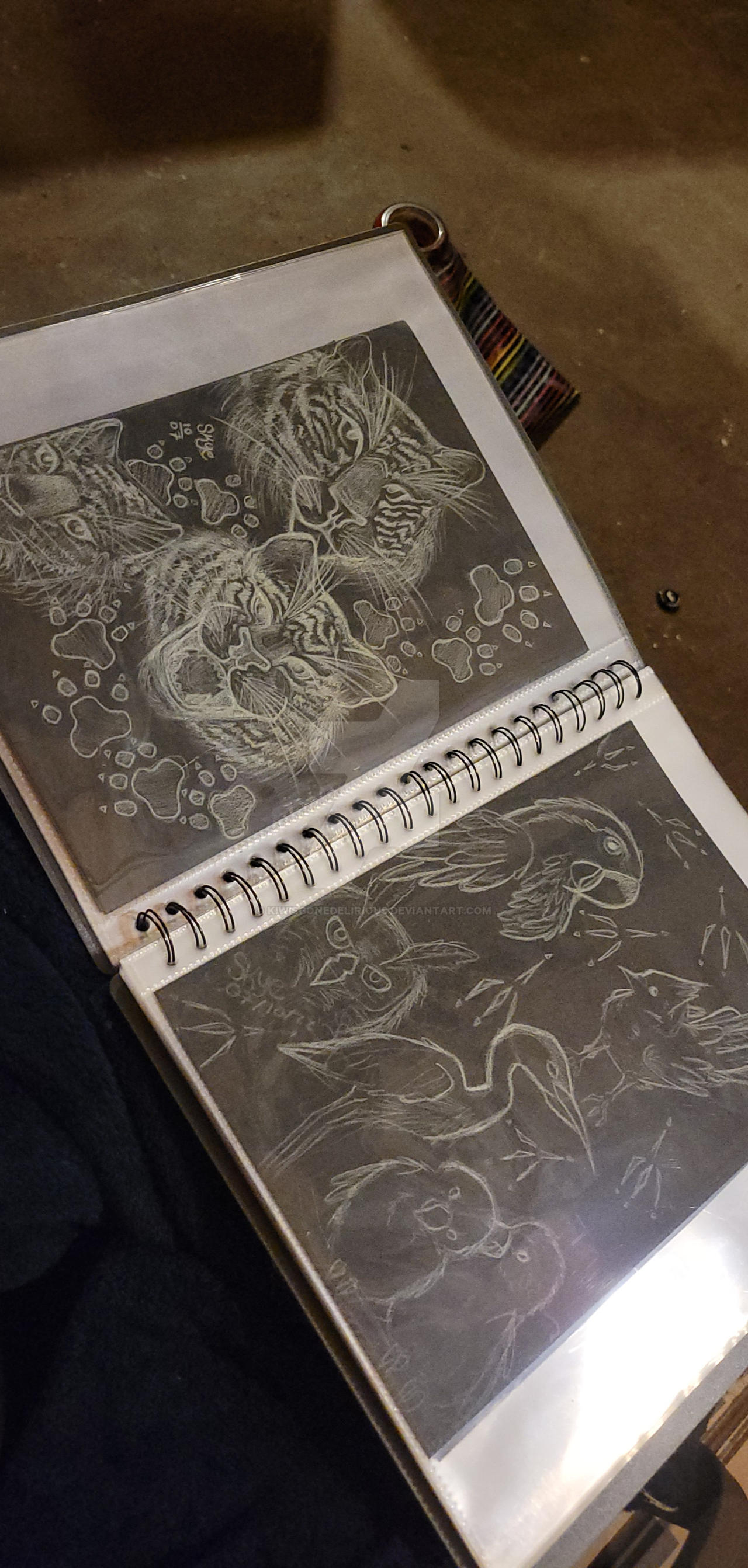 Animal Layout by KiwisGoneDelirious on DeviantArt